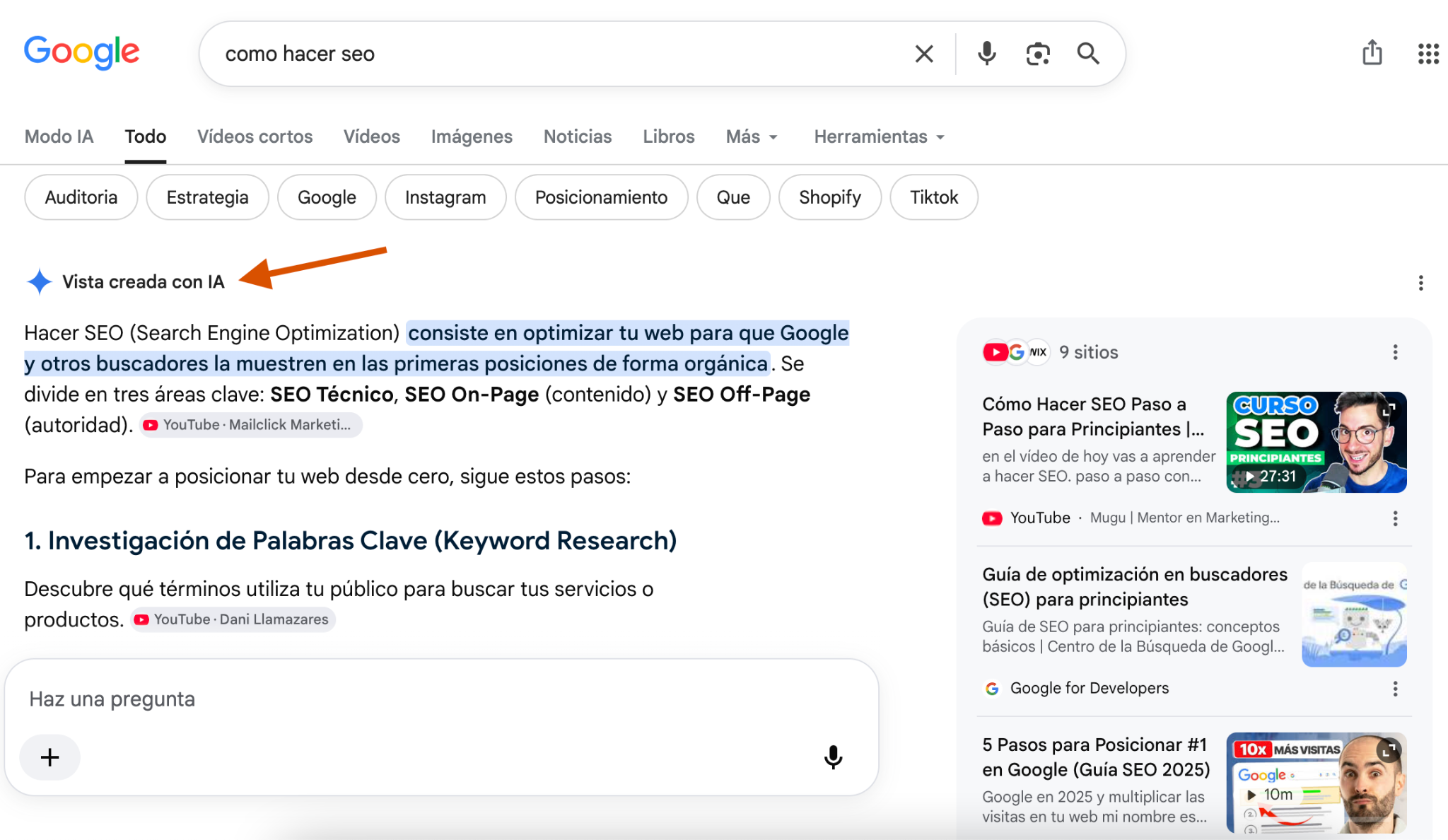 ejemplo de AI overviews